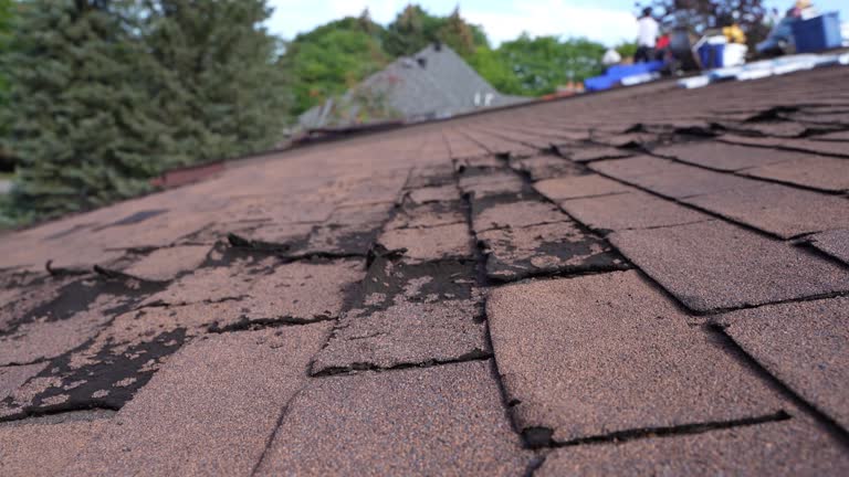 Gutter Replacement in Swanton, OH