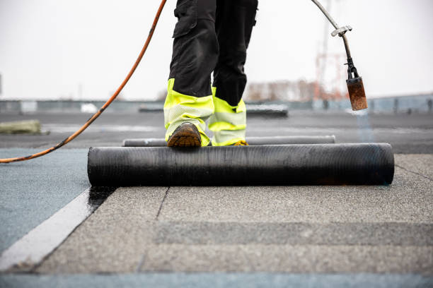 Best Storm Damage Roof Repair  in Swanton, OH