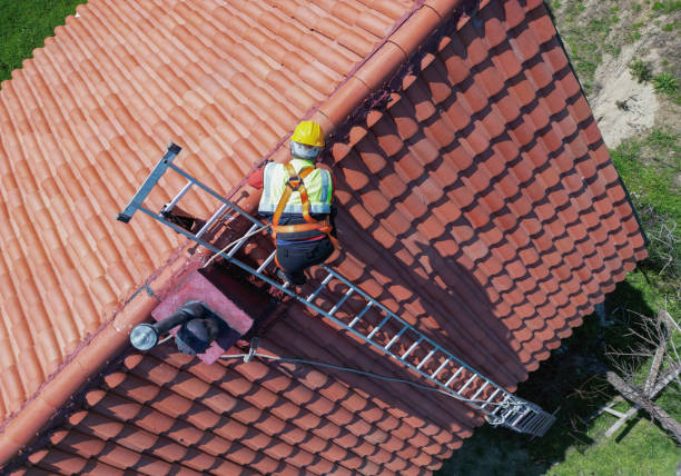 Best Roof Ventilation Installation  in Swanton, OH
