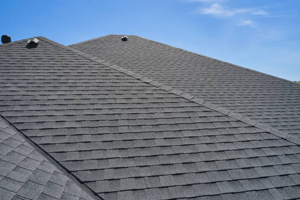 Best Roof Moss and Algae Removal  in Swanton, OH