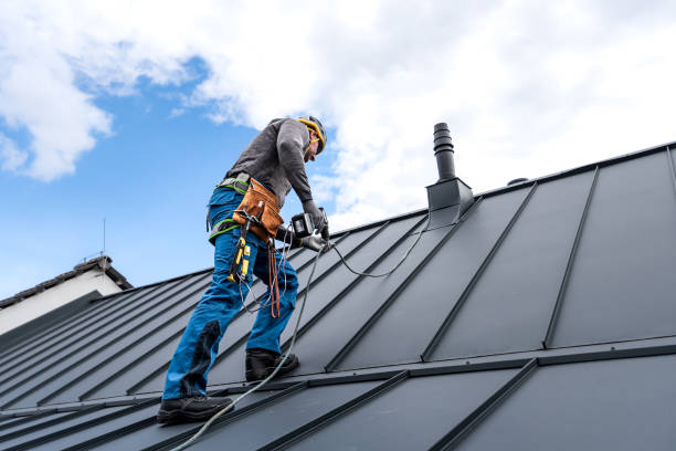 Best Storm Damage Roof Repair  in Swanton, OH